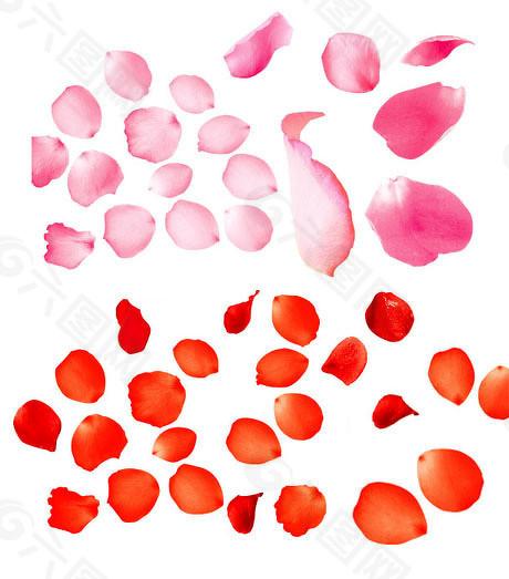 亿海配资 又有4条科创板指数将发布，涉及新能源、长三角、大湾区、工业机械