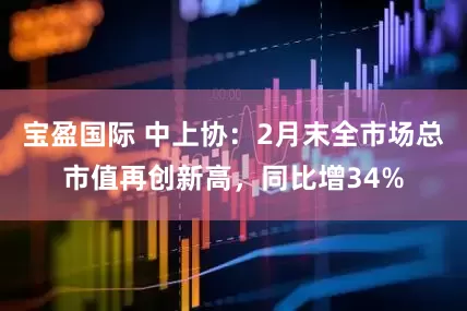 宝盈国际 中上协：2月末全市场总市值再创新高，同比增34%